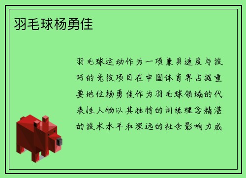 羽毛球杨勇佳