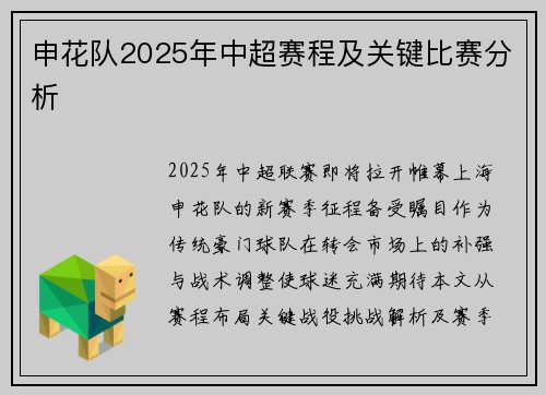 申花队2025年中超赛程及关键比赛分析